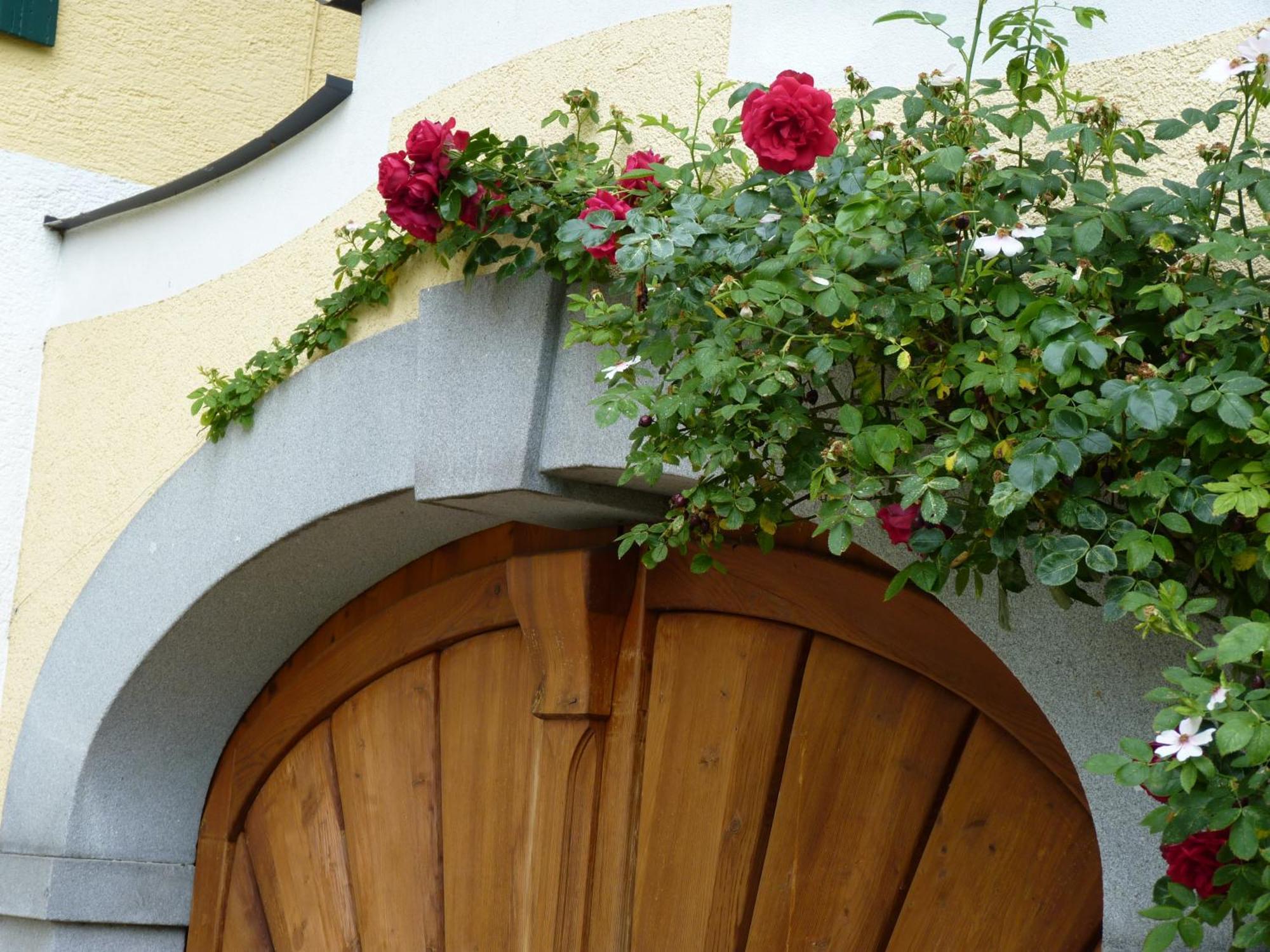 Landgut Wagnerfeld Apartment Altmuenster Exterior photo